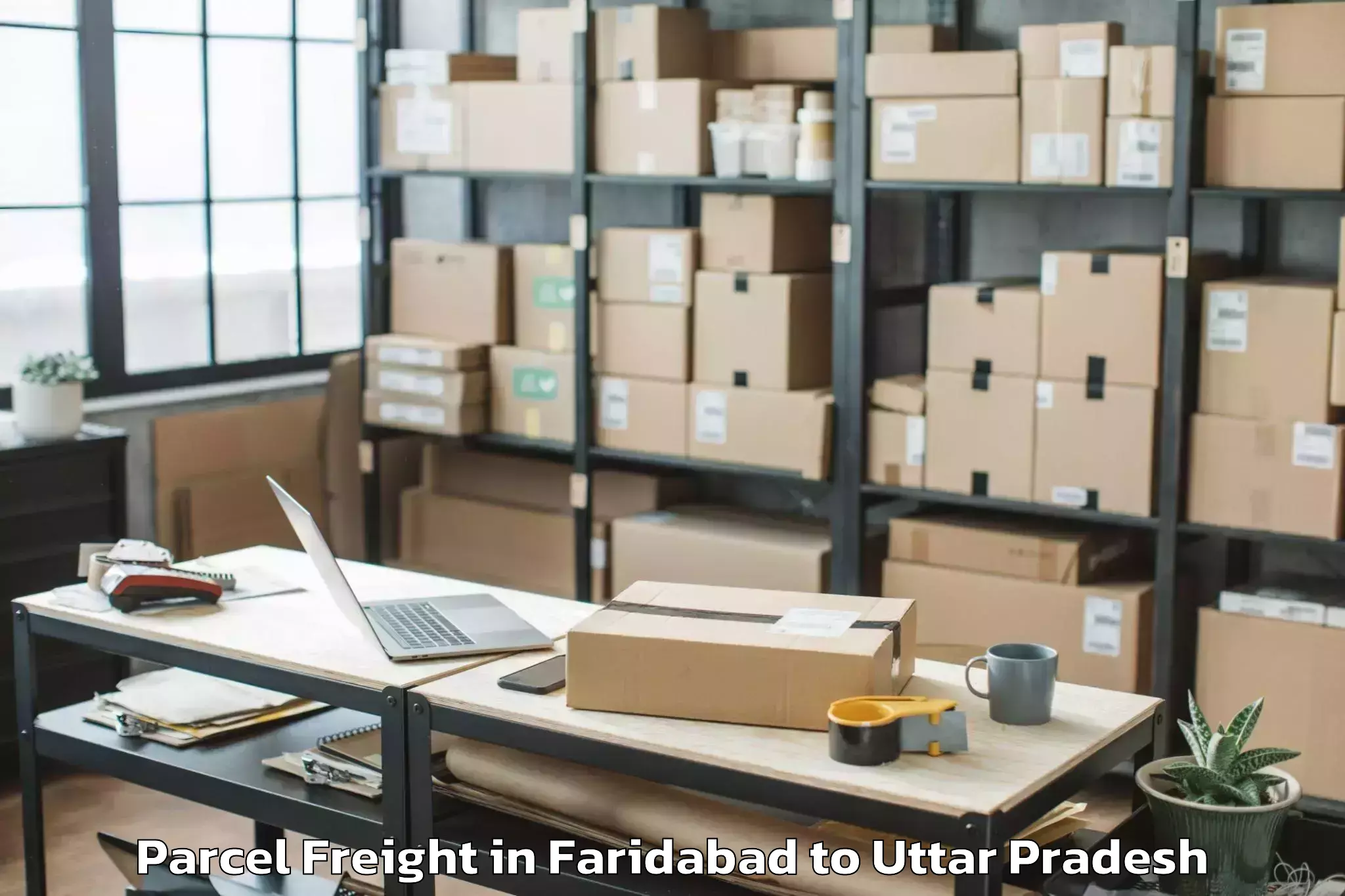 Quality Faridabad to Dhanaura Parcel Freight